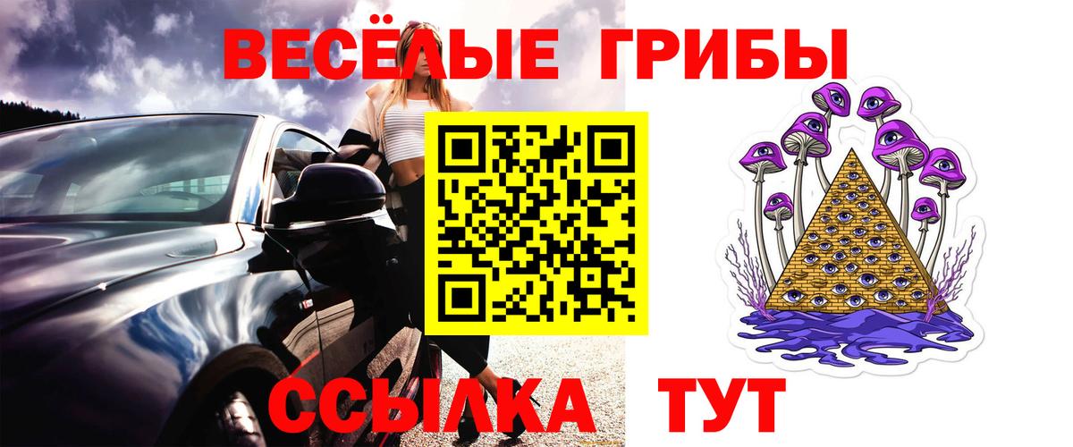 Псилоцибиновые грибы Cubensis Георгиевск
